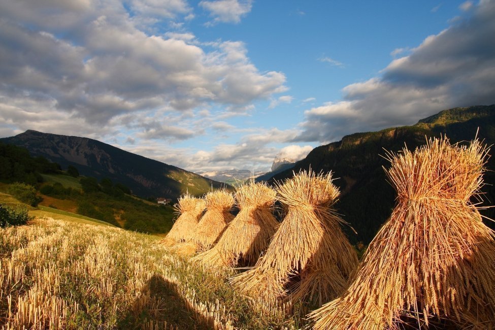 Mountain scenery at the Paderlafoderhof in Lajen